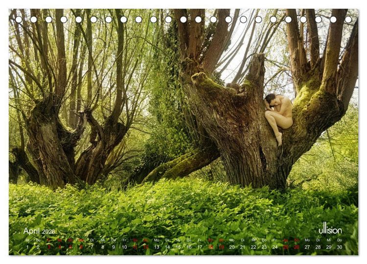 Produktbild: Poesie der Stille &ndash; Akt in der Natur (Tischkalender 2026 DIN A5 quer), CALVENDO Monatskalender