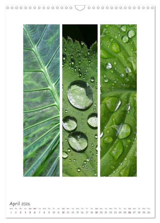 Produktbild: Colours of Nature - Triptycha (Wall Calendar 2026 DIN A3 portrait), CALVENDO 12 Month Wall Calendar