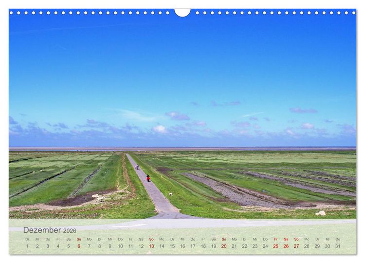 Produktbild: Salzwiesen, Schafe und Watt - Westerhever, ein Naturparadies an der Nordsee (Wandkalender 2026 DIN A3 quer), CALVENDO Monatskalender
