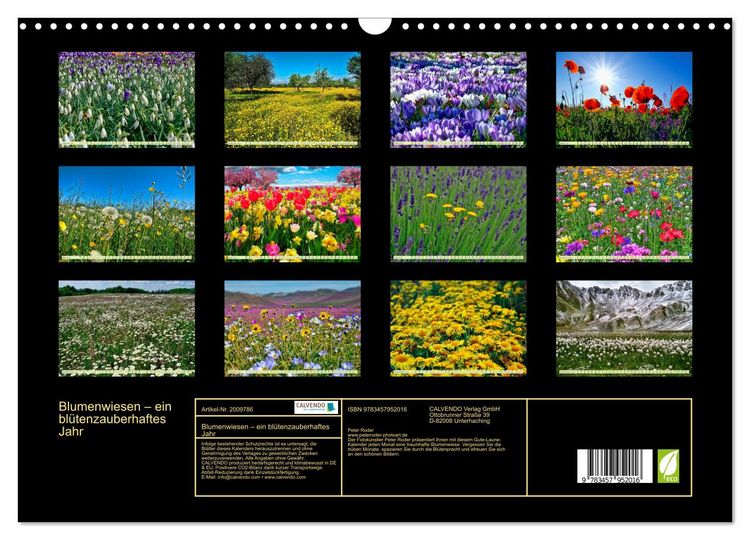 Produktbild: Blumenwiesen &ndash; ein bl&uuml;tenzauberhaftes Jahr (Wandkalender 2026 DIN A3 quer), CALVENDO Monatskalender