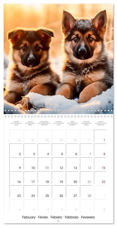 Produktbild: Cute PUPPY PERSONALITIES (Wall Calendar 2026 12 &times; 12 Inch) CALVENDO 12 Month Wall Calendar