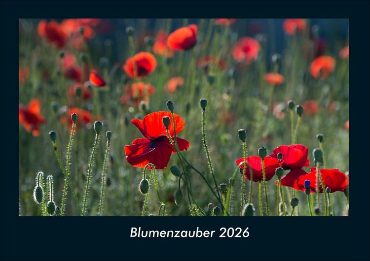 Produktbild: Blumenzauber 2026 Fotokalender DIN A4