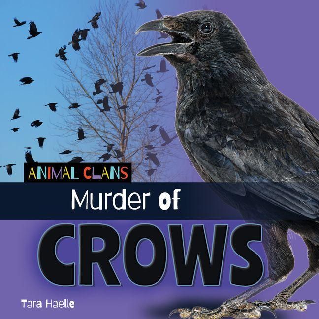 Produktbild: Murder of Crows