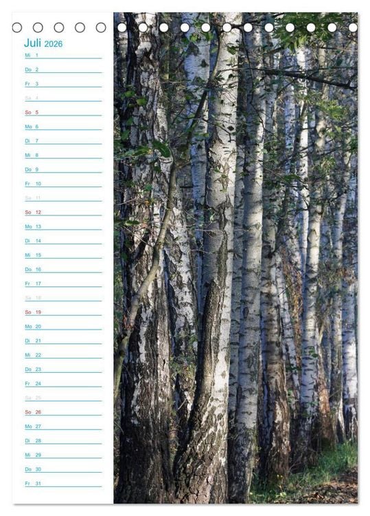 Produktbild: Wunderbarer Spreewald (Tischkalender 2026 DIN A5 hoch), CALVENDO Monatskalender