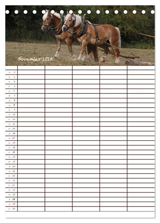 Produktbild: Der Kaltblut-Familienplaner (Tischkalender 2026 DIN A5 hoch), CALVENDO Monatskalender