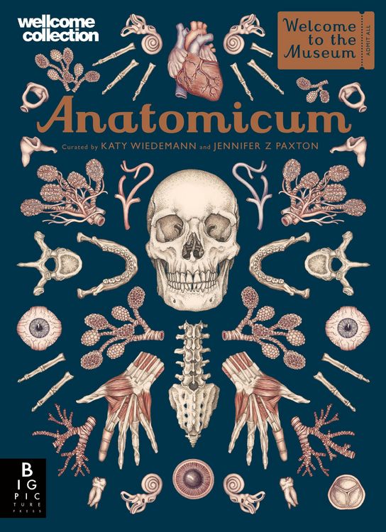Produktbild: Anatomicum