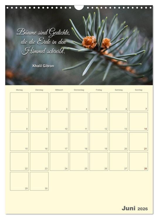 Produktbild: Gartenliebe (Wandkalender 2026 DIN A3 hoch), CALVENDO Monatskalender