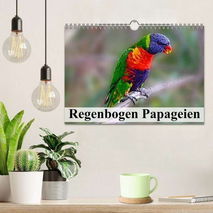 Produktbild: Regenbogen Papageien (Wandkalender 2026 DIN A4 quer), CALVENDO Monatskalender