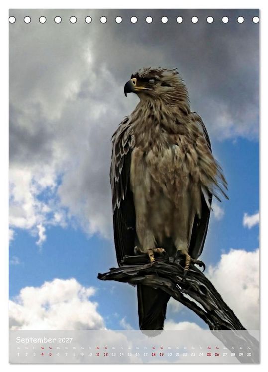 Produktbild: Adler in Afrika (Tischkalender 2027 DIN A5 hoch), CALVENDO Monatskalender