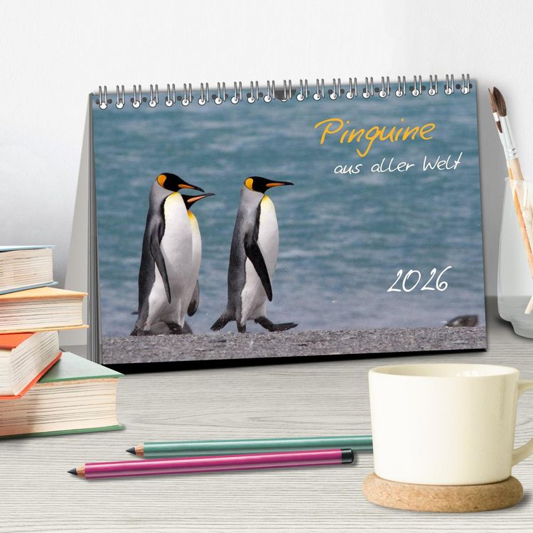 Produktbild: Pinguine aus aller Welt (Tischkalender 2026 DIN A5 quer), CALVENDO Monatskalender