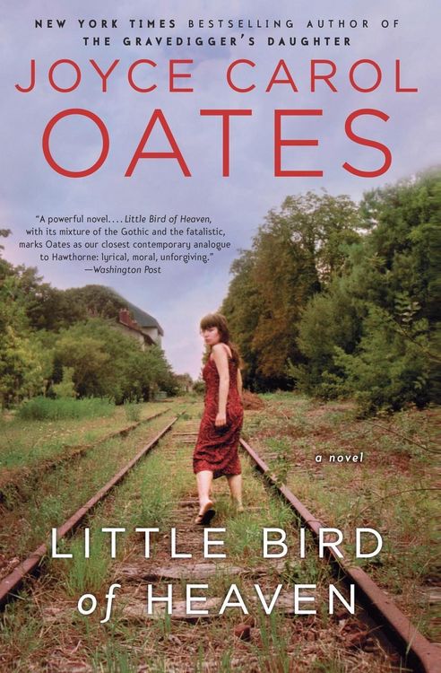 Produktbild: Little Bird of Heaven