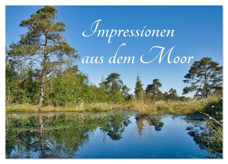 Produktbild: Impressionen aus dem Moor (Tischkalender 2026 DIN A5 quer), CALVENDO Monatskalender