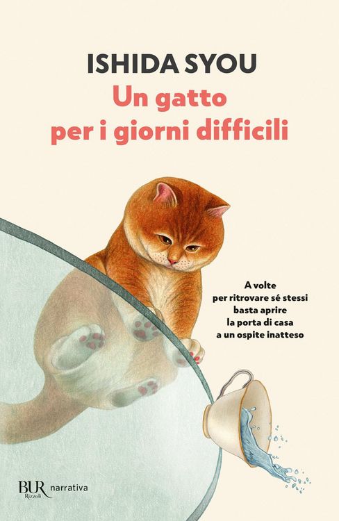 Produktbild: Un gatto per i giorni difficili