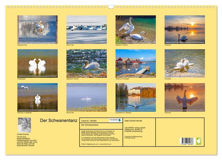 Produktbild: Der Schwanentanz (Wandkalender 2026 DIN A2 quer), CALVENDO Monatskalender