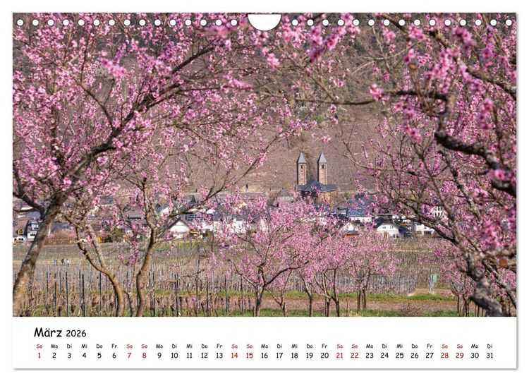 Produktbild: Heimat Entdecken - Die Mosel (Wandkalender 2026 DIN A4 quer), CALVENDO Monatskalender