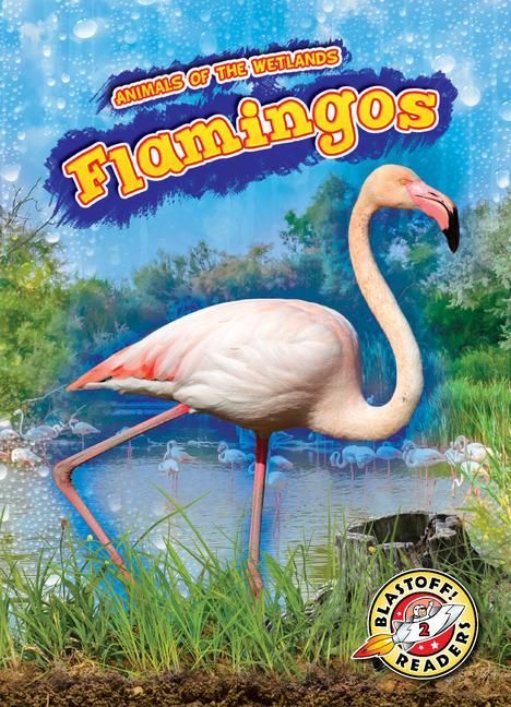 Produktbild: Flamingos