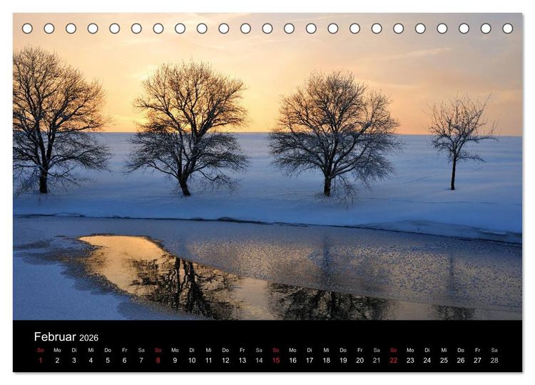 Produktbild: B&auml;ume (Tischkalender 2026 DIN A5 quer), CALVENDO Monatskalender