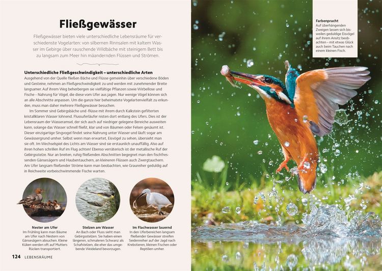 Produktbild: V&ouml;gel beobachten und ihre Lebensr&auml;ume kennenlernen