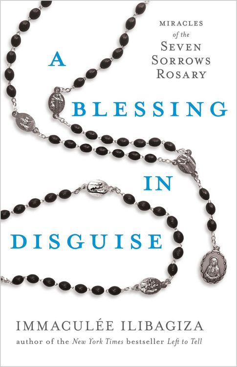 Produktbild: A Blessing in Disguise