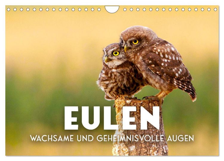 Produktbild: Eulen - Wachsame und geheimnisvolle Augen (Wandkalender 2026 DIN A4 quer), CALVENDO Monatskalender