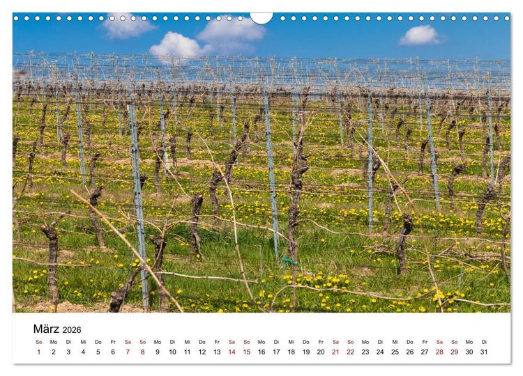 Produktbild: Weinkalender (Wandkalender 2026 DIN A3 quer), CALVENDO Monatskalender