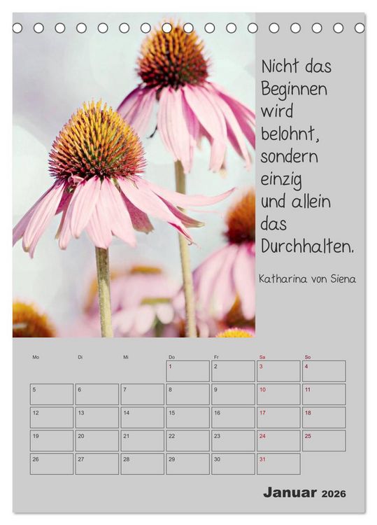 Produktbild: Motivationshilfe (Tischkalender 2026 DIN A5 hoch), CALVENDO Monatskalender
