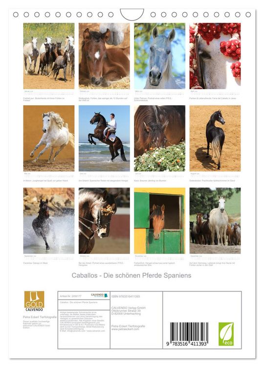 Produktbild: Caballos - Die sch&ouml;nen Pferde Spaniens (Wandkalender 2026 DIN A4 hoch), CALVENDO Monatskalender