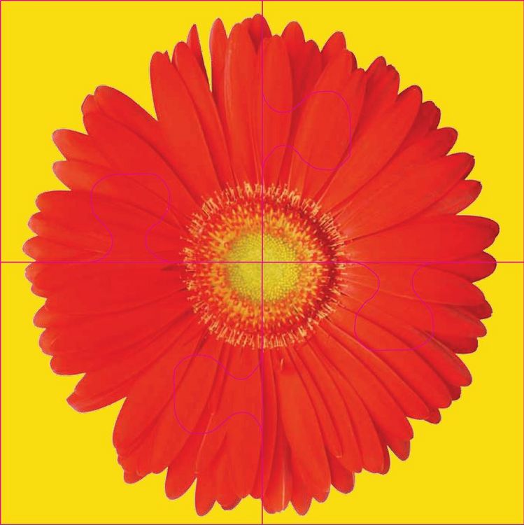 Produktbild: Das "Gelingt-immer"-Puzzle Blumen. Das Puzzle-Spiel f&uuml;r Senioren mit Demenz