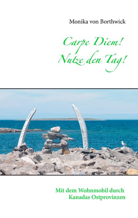 Produktbild: Carpe Diem! Nutze den Tag!