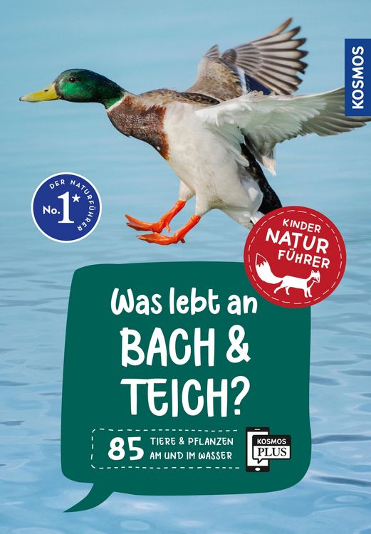 Produktbild: Was lebt an Bach und Teich? Kindernaturf&uuml;hrer