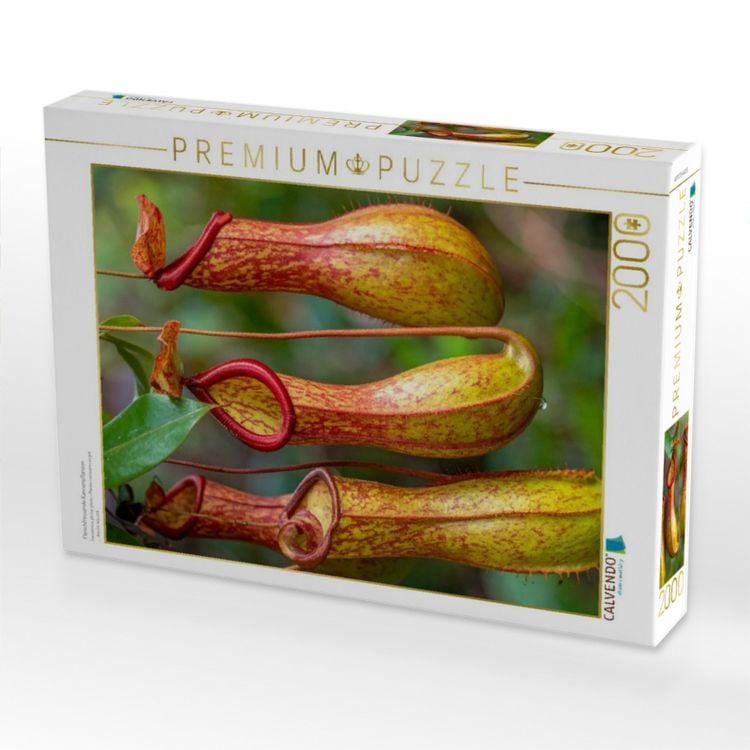 Produktbild: CALVENDO Puzzle Fleischfressende Kannenpflanzen | 2000 Teile Lege-Gr&ouml;&szlig;e 90x67cm Foto-Puzzle f&uuml;r gl&uuml;ckliche Stunden
