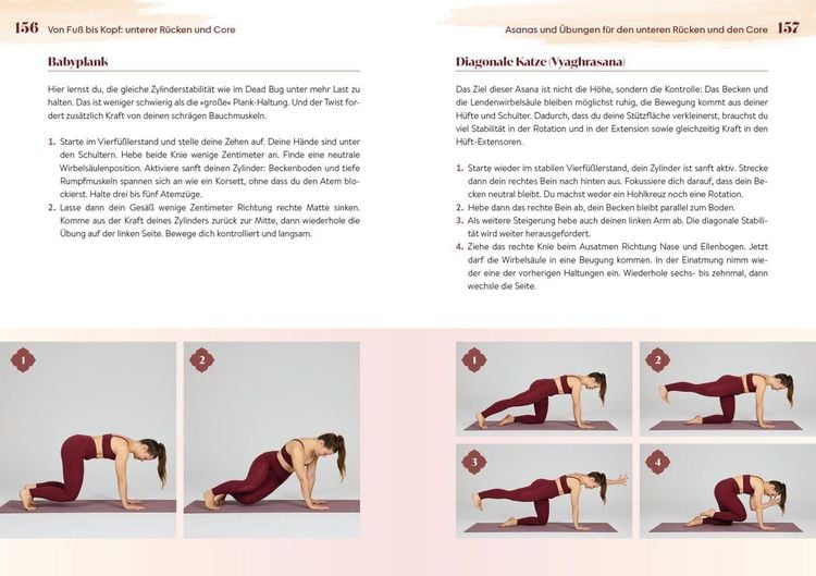 Produktbild: Easy Yoga-Anatomie
