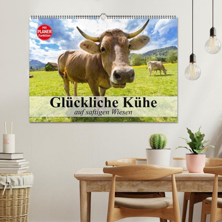 Produktbild: Gl&uuml;ckliche K&uuml;he auf saftigen Wiesen (Wandkalender 2026 DIN A2 quer), CALVENDO Monatskalender