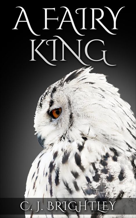 Produktbild: A Fairy King