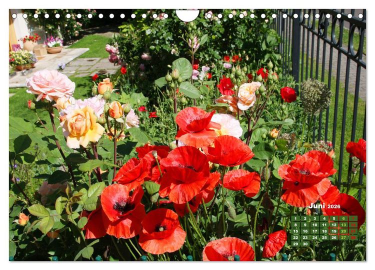 Produktbild: Urlaub im Garten (Wandkalender 2026 DIN A4 quer), CALVENDO Monatskalender