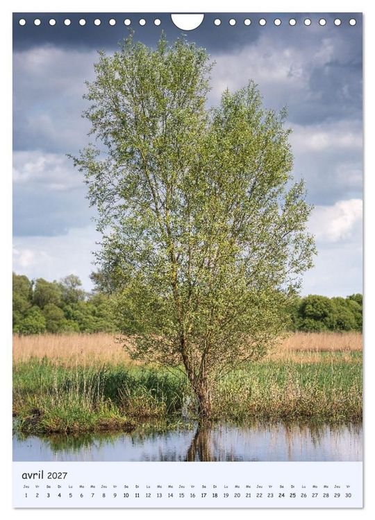 Produktbild: Arbres solitaires (Calendrier mural 2027 DIN A4 horizontal), CALVENDO calendrier mensuel