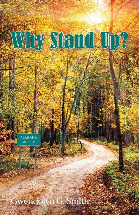 Produktbild: Why Stand Up?