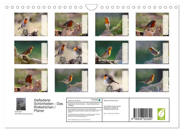 Produktbild: Gefiederte Sch&ouml;nheiten - Das Rotkehlchen / Planer (Wandkalender 2026 DIN A4 quer), CALVENDO Monatskalender