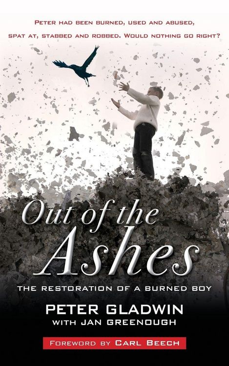 Produktbild: Out of the Ashes