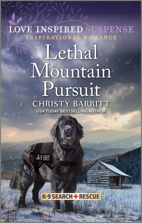 Produktbild: Lethal Mountain Pursuit