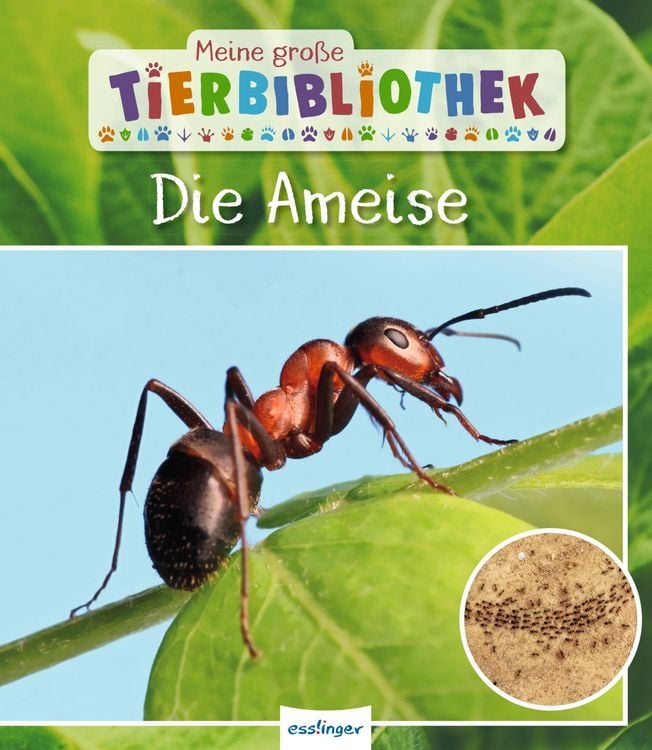 Produktbild: Meine gro&szlig;e Tierbibliothek: Die Ameise