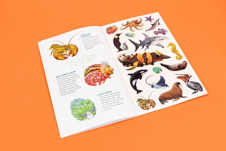 Produktbild: Watery World of Tattoo Ocean Animals