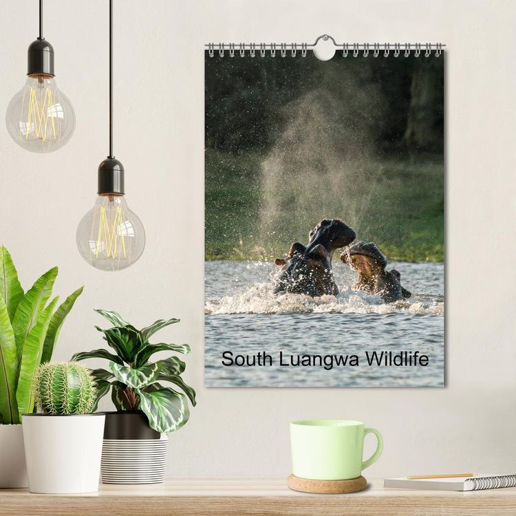 Produktbild: South Luangwa Wildlife (Wall Calendar 2026 DIN A4 portrait), CALVENDO 12 Month Wall Calendar