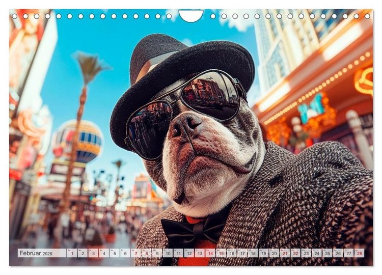 Produktbild: HUNDE-SELFIES Tierischer Outdoorspa&szlig; (Wandkalender 2026 DIN A4 quer), CALVENDO Monatskalender