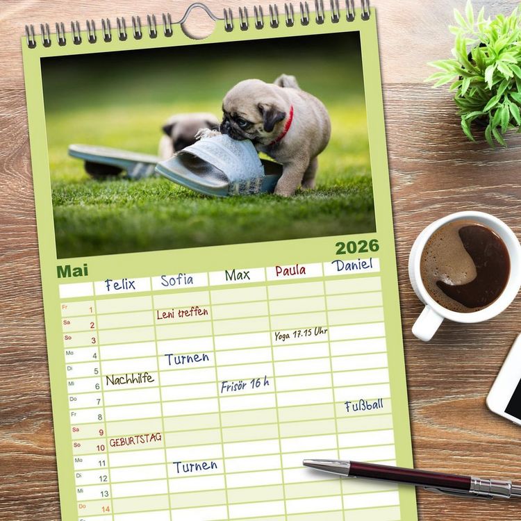 Produktbild: Familienplaner 2026 - Mopswelpen mit 5 Spalten (Wandkalender, 21 x 45 cm) CALVENDO