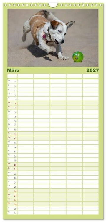 Produktbild: Familienplaner 2027 - Hunde Action mit 5 Spalten (Wandkalender, 21 x 45 cm) CALVENDO