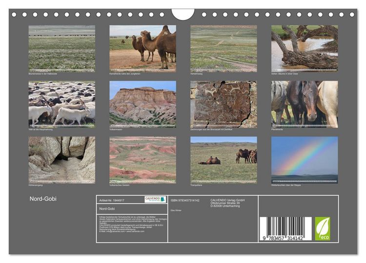Produktbild: Nord-Gobi (Wandkalender 2026 DIN A4 quer), CALVENDO Monatskalender
