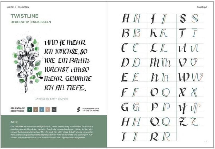 Produktbild: Praxisbuch Kalligraphie Alphabete