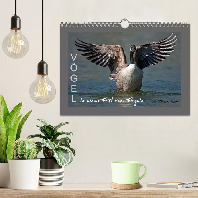 Produktbild: V&Ouml;GEL (Wandkalender 2026 DIN A4 quer), CALVENDO Monatskalender