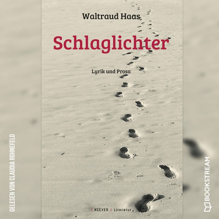 Produktbild: Schlaglichter